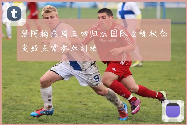 楚阿梅尼周三回归法国队合练状态良好正常参加训练